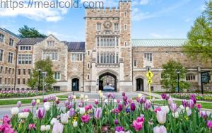 Best Education Scholarship Colleges in the USA for 2025